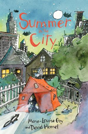 Cover of the book Summer in the City by Robert Heidbreder