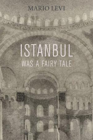 Cover of Istanbul Was a Fairy Tale