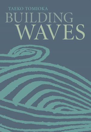 Cover of the book Building Waves by GÃ©rard Gavarry