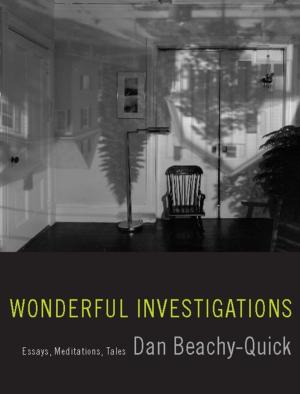 Cover of the book Wonderful Investigations by Dan Beachy-Quick