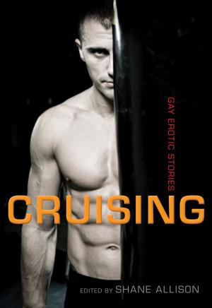 Cover of the book Cruising by Gregory Josephs
