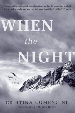 Cover of the book When the Night by David Trueba