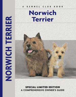 Cover of the book Norwich Terrier by Bardi McLennan, Miriam Fields-Babineau