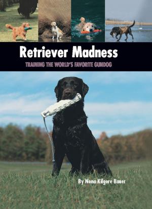 Book cover of Retriever Madness