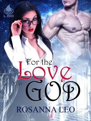 Cover of the book For the Love of a God by MJ Allaire