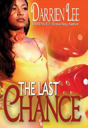 Cover of the book The Last Chance by E.N. Joy