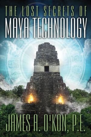 Cover of the book The Lost Secrets of Maya Technology by fabio nocentini
