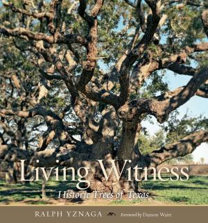 Cover of the book Living Witness by John W. Tunnell Jr., Noe C Barrera, Fabio Moretzsohn
