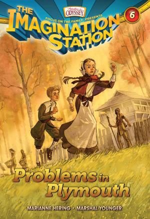 Cover of the book Problems in Plymouth by Jesse Florea, Bob Smiley