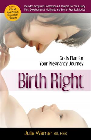 Cover of the book Birth Right by Michelle Hollomon