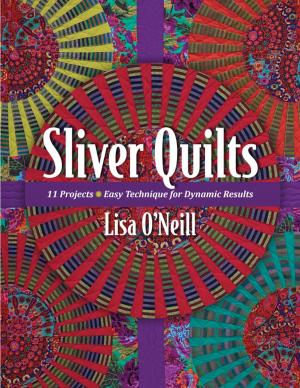 Cover of the book Sliver Quilts by Bonnie K. Hunter
