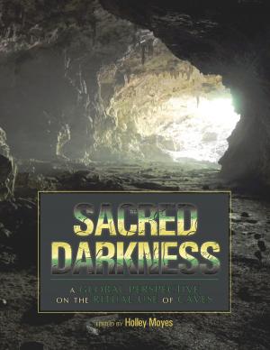 Cover of the book Sacred Darkness by 