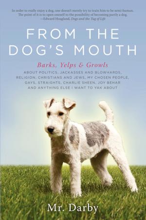Cover of the book From the Dog's Mouth by Steve Wartenberg