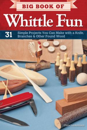 Cover of the book Big Book of Whittle Fun by Suzanne McNeill, Sulfiati Harris