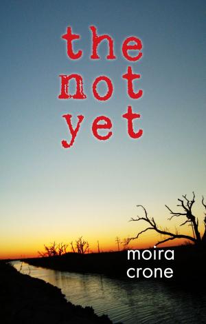Cover of the book The Not Yet by Cy Bishop