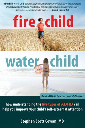 Cover of the book Fire Child, Water Child by Kelly G. Wilson, PhD, Troy DuFrene