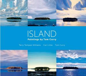 Cover of the book Island by Randi Minetor