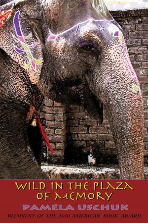 Cover of the book Wild in the Plaza of Memory by Chip Dameron