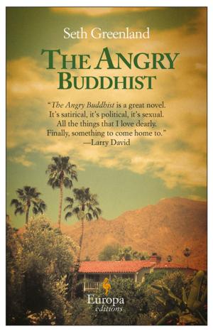 Cover of the book The Angry Buddhist by Fotini Tsalikoglou