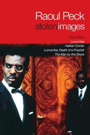 Cover of the book Stolen Images by Peter Plate