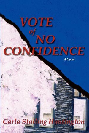 Cover of the book Vote of No Confidence by R.M. Lienau