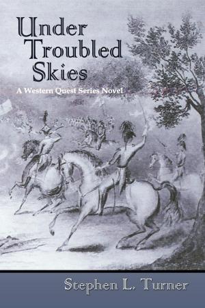 Book cover of Under Troubled Skies