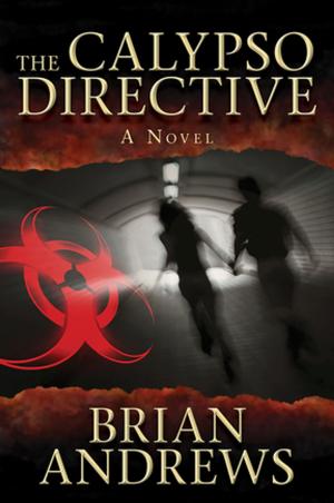 Cover of the book The Calypso Directive by Bart Paul