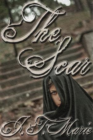 Cover of the book The Scar by Hayden Thorne