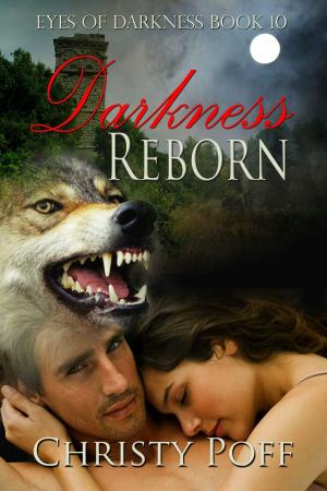 Cover of the book Darkness Reborn by Peggy Hunter