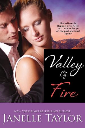Cover of the book Valley Of Fire by Justine Davis