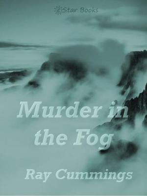 Book cover of Murder in the Fog