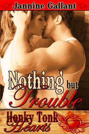 Cover of the book Nothing But Trouble by Marin  McGinnis