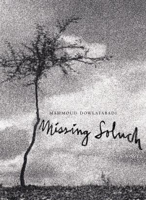 bigCover of the book Missing Soluch by 