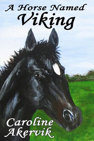 Book cover of A Horse Named Viking