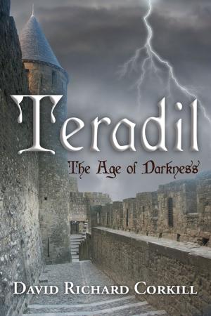 Cover of the book Teradil: The Age of Darkness by Commander Mark Bowlin USN (Ret.)