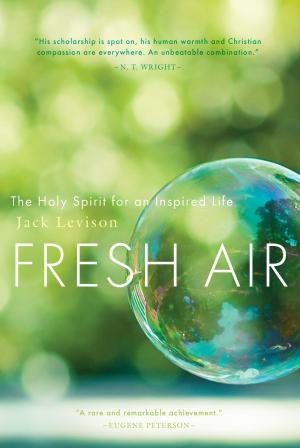 Cover of the book Fresh Air The Holy Spirit for an Inspired Life by Tony Jones