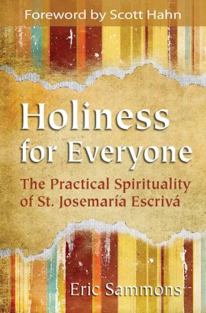 Cover of the book Holiness for Everyone by Ralph Martin