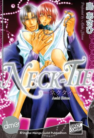 Book cover of Neck-Tie
