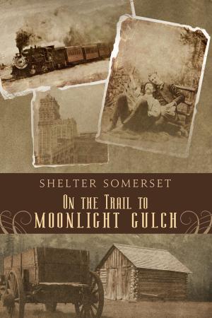 Cover of the book On the Trail to Moonlight Gulch by J.L. Langley