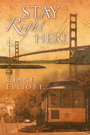 Cover of the book Stay Right Here by Susan Laine