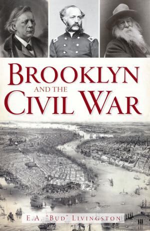 Cover of the book Brooklyn and the Civil War by Ray Hanley, Steven G. Hanley