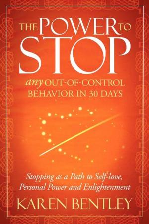 Cover of the book The Power to Stop by Gerry Czarnecki