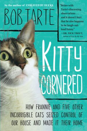 Cover of the book Kitty Cornered by Lisa Ko