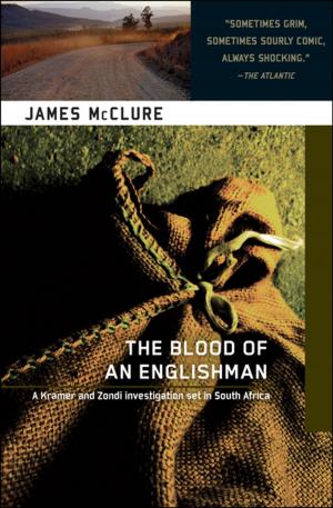 Cover of the book The Blood of an Englishman by Eliot Pattison