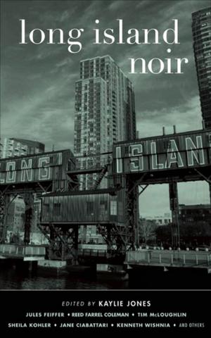 Cover of the book Long Island Noir by Edwidge Danticat