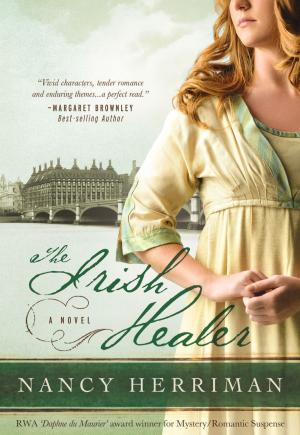 Book cover of The Irish Healer