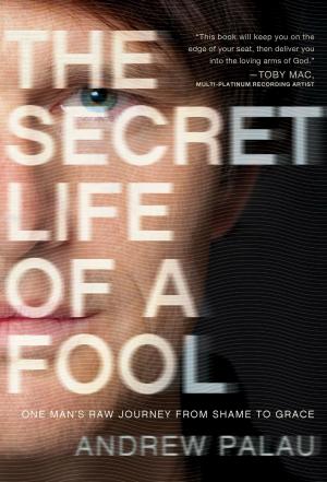 Cover of the book The Secret Life of a Fool by Randall Cunningham