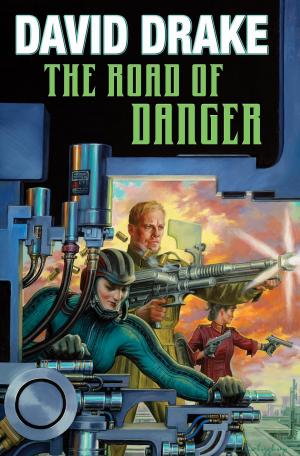 Cover of the book The Road of Danger by Ron Miller, Ron Miller