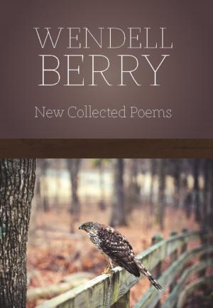 Cover of the book New Collected Poems by Gary Snyder
