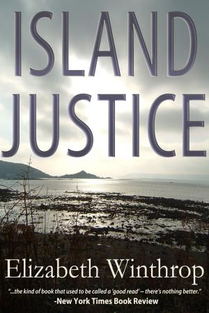 Cover of the book Island Justice by Béatrice Mopal